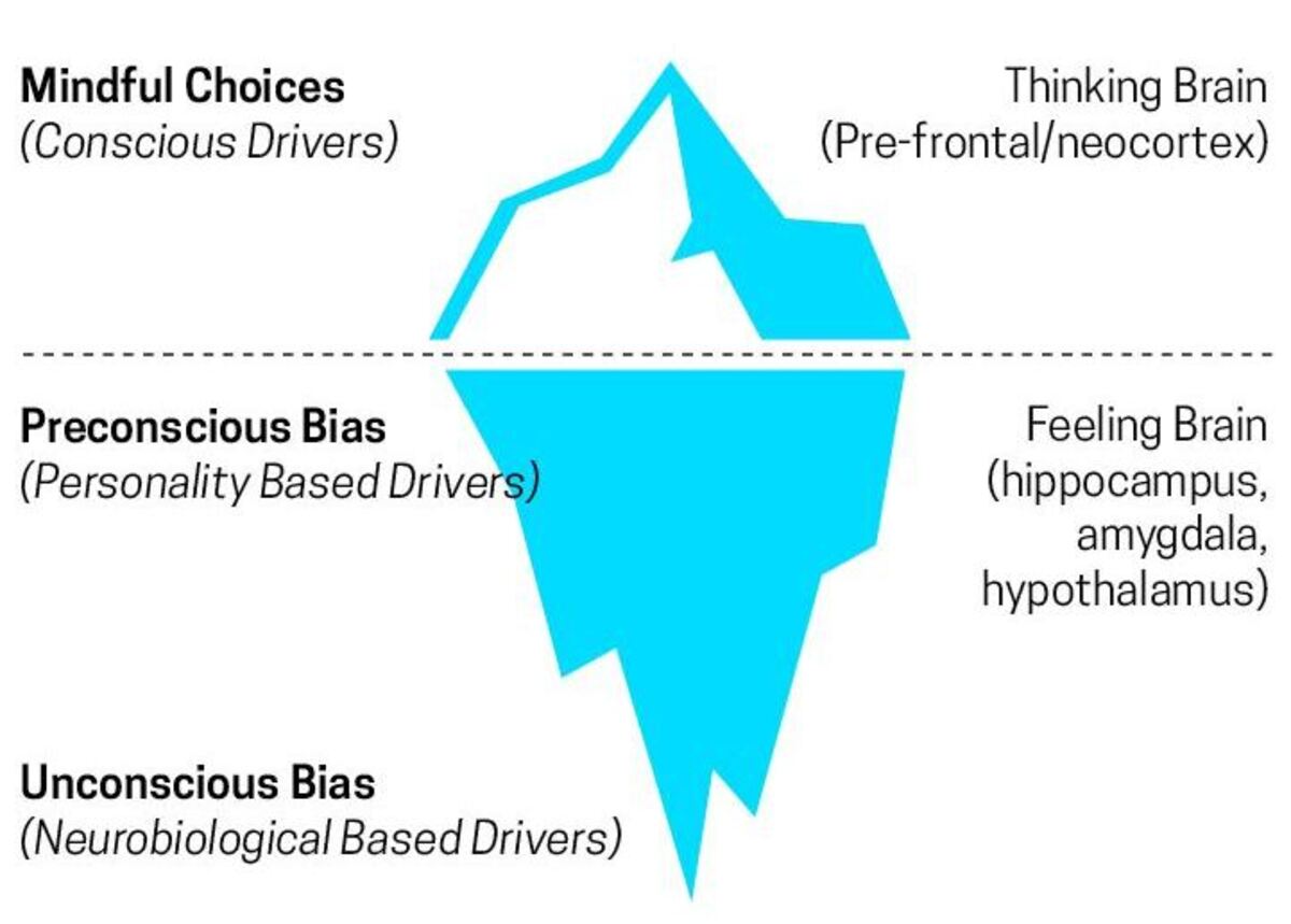 biases ice