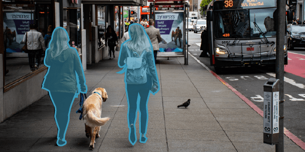 bespoke ai solutions, two girls and dogs walking on the street