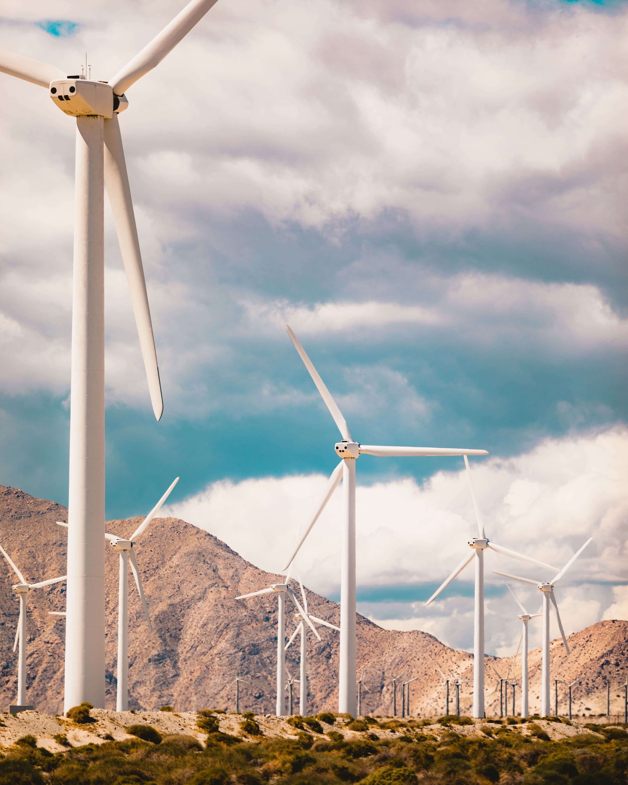 windmill in the field